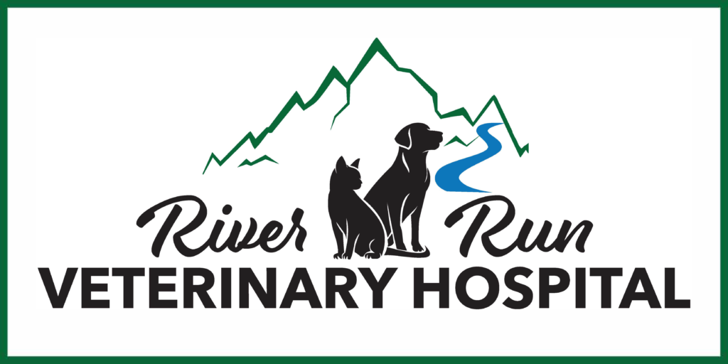 Meet Our Staff – River Run Veterinary Hospital